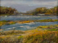 Cochran Shoals
