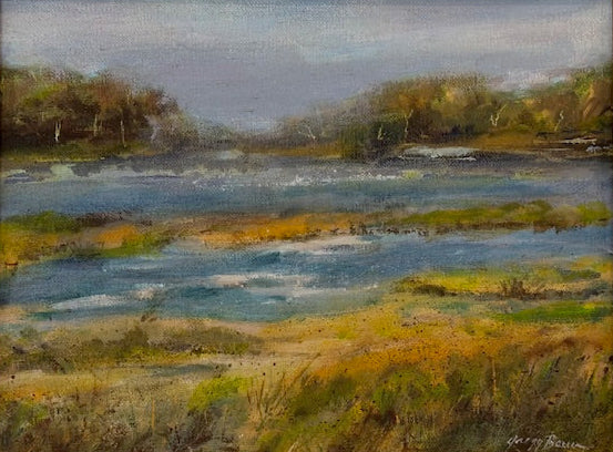 Cochran Shoals