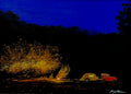 Chattahoochee Nocturne