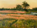 Late in the Day