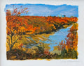 Overlook at the Palisades - Study
